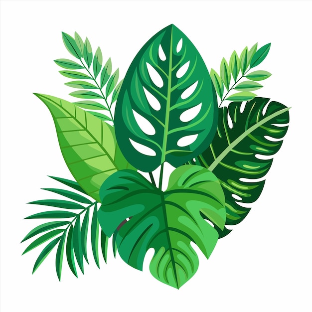 una imagen de una planta verde con hojas verdes