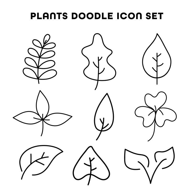 Imagen de plantas dibujada a mano por el vector