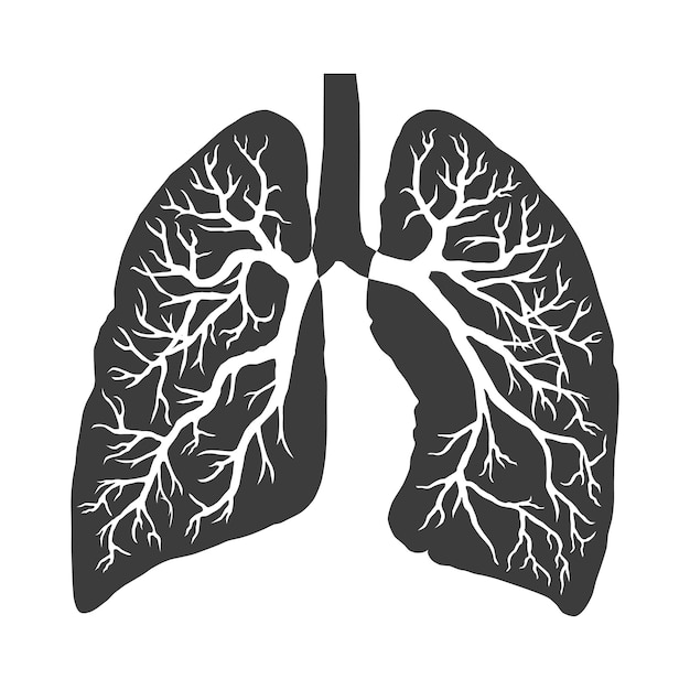 Imagen de pulmones humanos sistema respiratorio