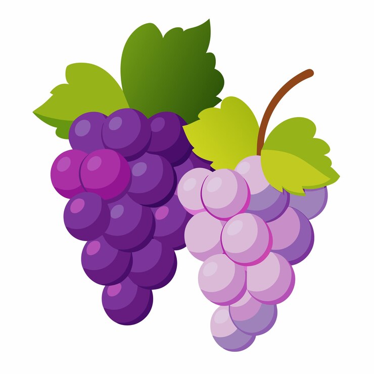 Vector una imagen de un racimo de uvas con una hoja verde