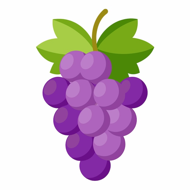 una imagen de un racimo de uvas con una hoja verde