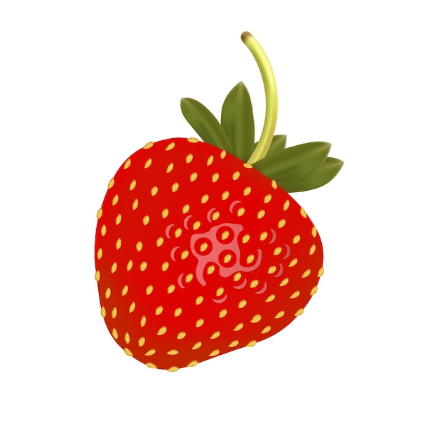 Imagen realista de fresas sobre un fondo blanco. ilustración vectorial