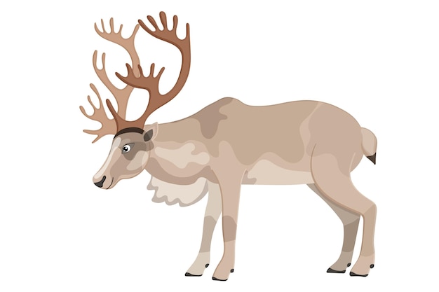 Imagen de reno de dibujos animados animal amable y lindo del zoológico del norte venado elegante y peludo caribú hermoso y adorable alce aislado sobre fondo blanco ilustración vectorial