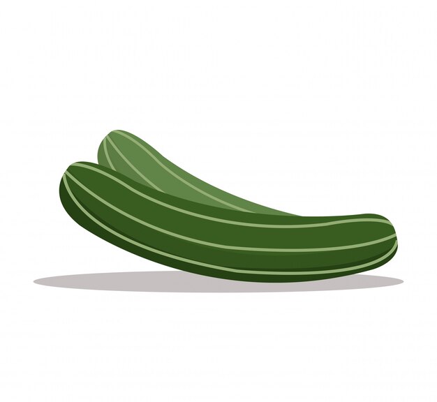 Vector imagen saludable de la nutrición del pepino