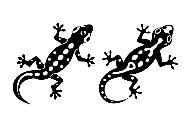 Imagen de la silueta vectorial del geco