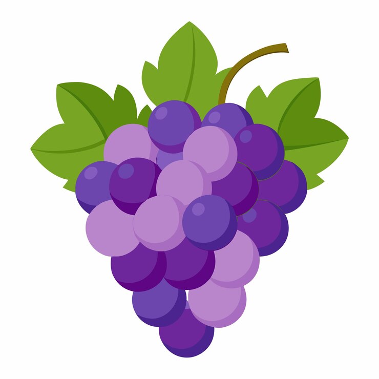 Vector una imagen de uvas púrpuras con hojas verdes y un fondo blanco