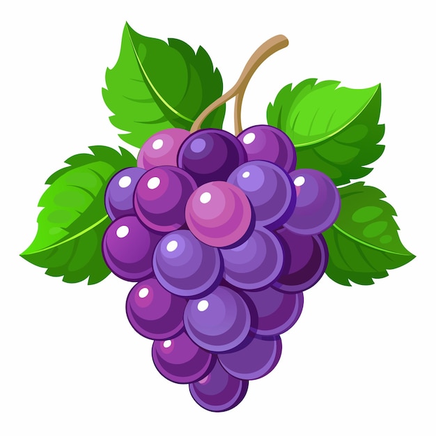 Vector una imagen de uvas púrpuras con hojas verdes