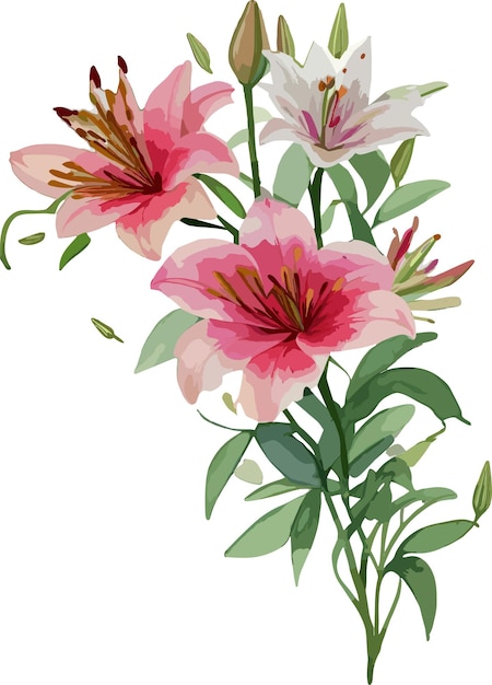 Imagen vectorial de acuarela lirio rosa y flores silvestres