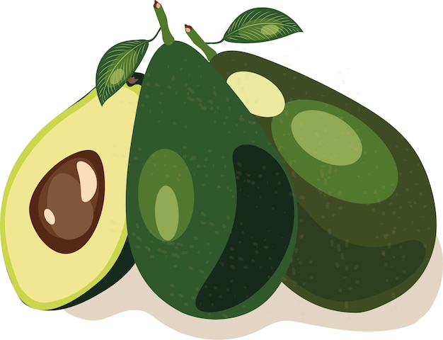 Imagen vectorial de un aguacate Varios aguacates Cortar aguacate Aguacate con hojas
