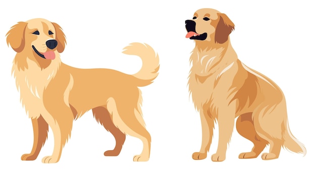 Vector imagen vectorial de arte plano simplificado de golden retriever