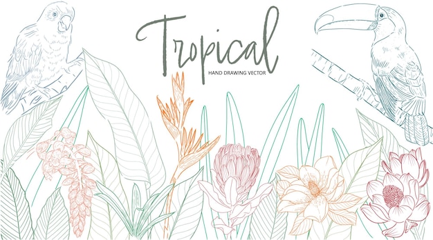 Imagen vectorial de aves y plantas tropicales