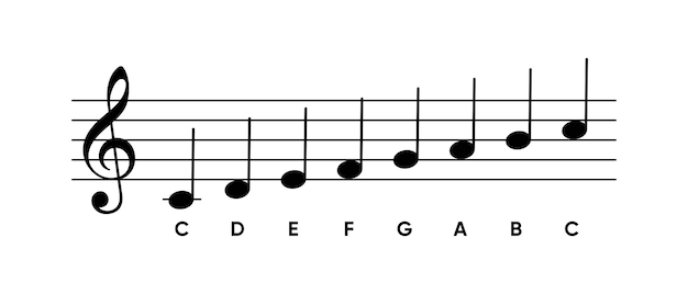 Imagen vectorial de un bastón musical con notas etiquetadas de la escala de do mayor en la clave aguda