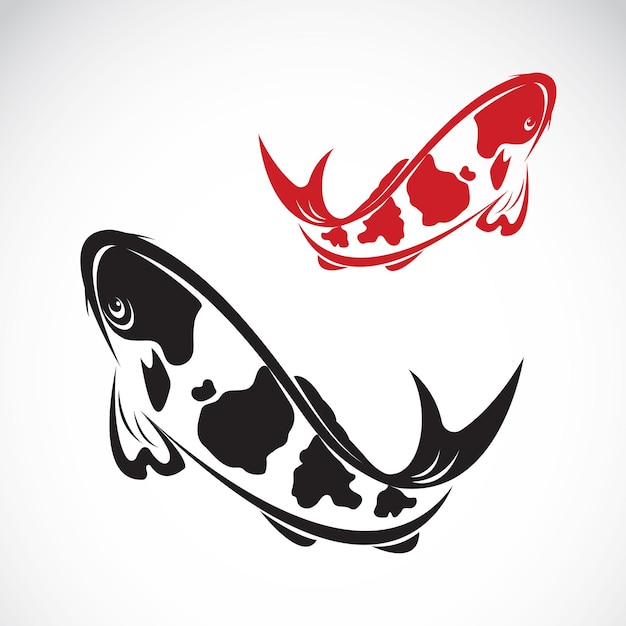 Imagen vectorial de una carpa koi sobre fondo blanco