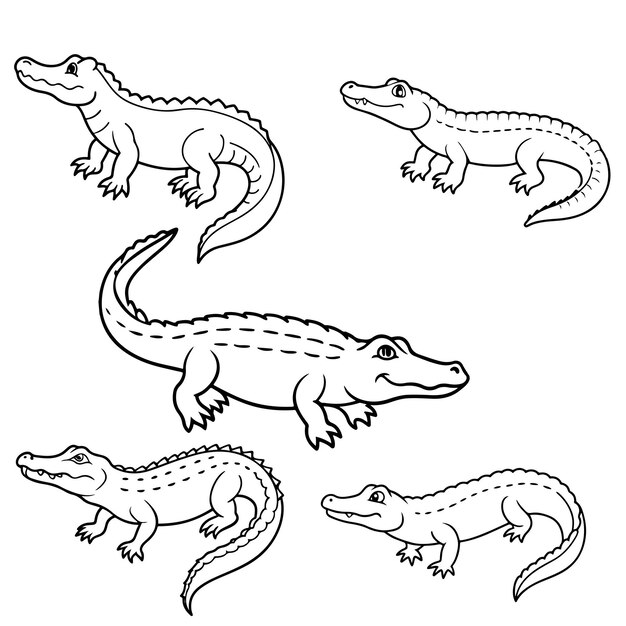 Imagen vectorial de un cocodrilo Dibujo en blanco y negro Libro de colorear para niños Emblema del cocodrillo