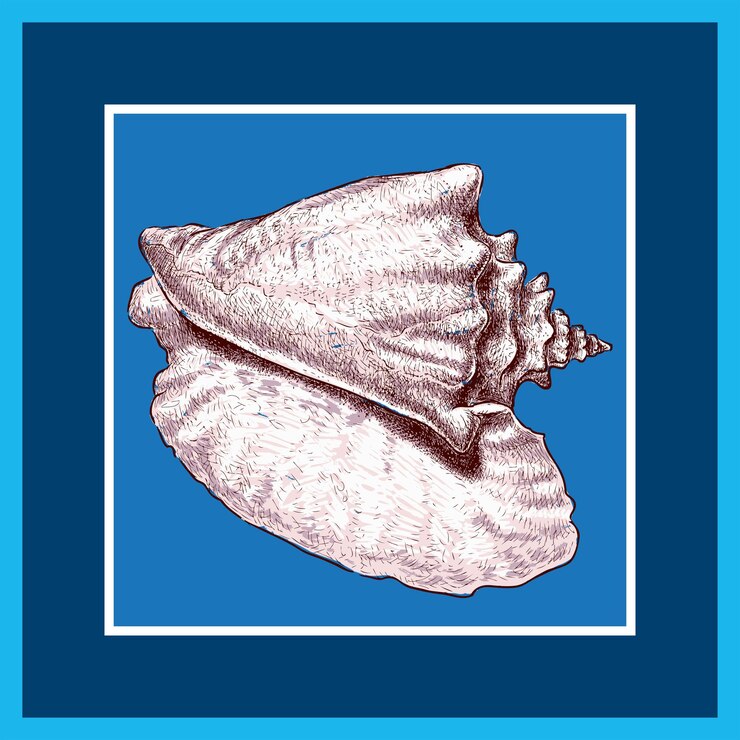 Vector imagen vectorial de concha grande dibujada en marco azul decorativo