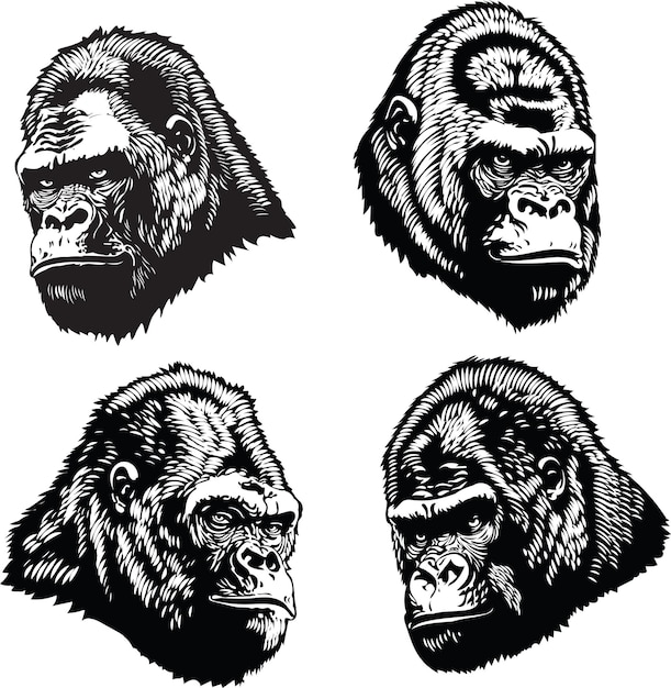 imagen vectorial de un conjunto de caras de gorila