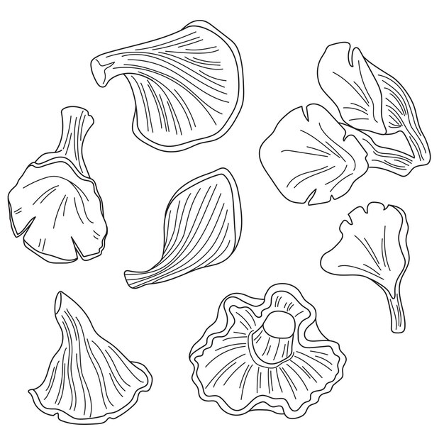 imagen vectorial de contorno de hongo ostra