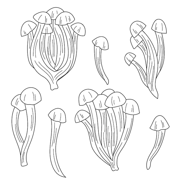 Imagen vectorial de contorno de hongo shimeji