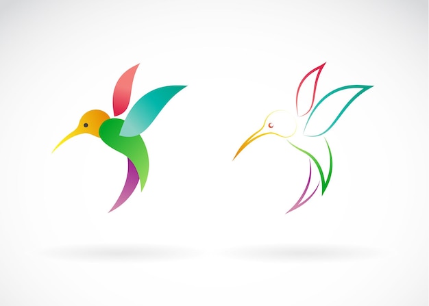 Imagen vectorial de un diseño de colibrí sobre fondo blanco, / colibrí vectorial para su diseño.