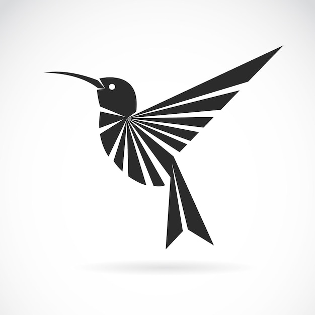 Imagen vectorial de un diseño de colibrí sobre fondo blanco.