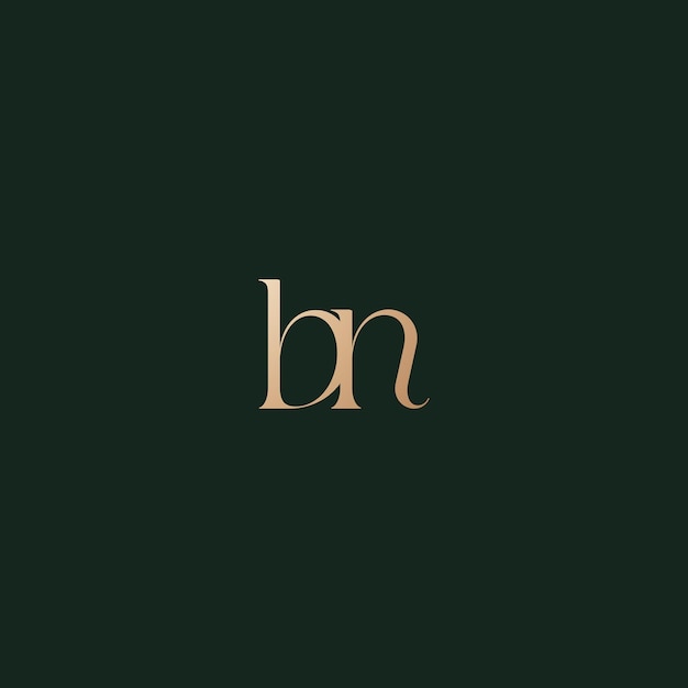 Imagen vectorial del diseño inicial del logotipo Bn