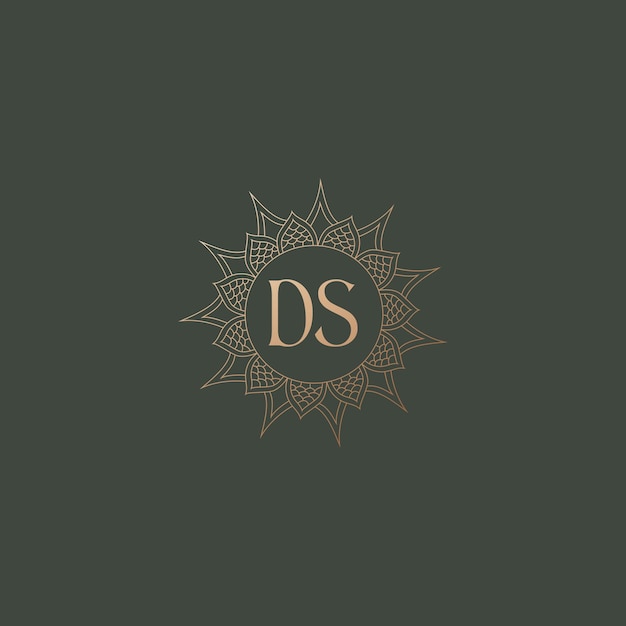 Imagen vectorial del diseño inicial del logotipo de Ds