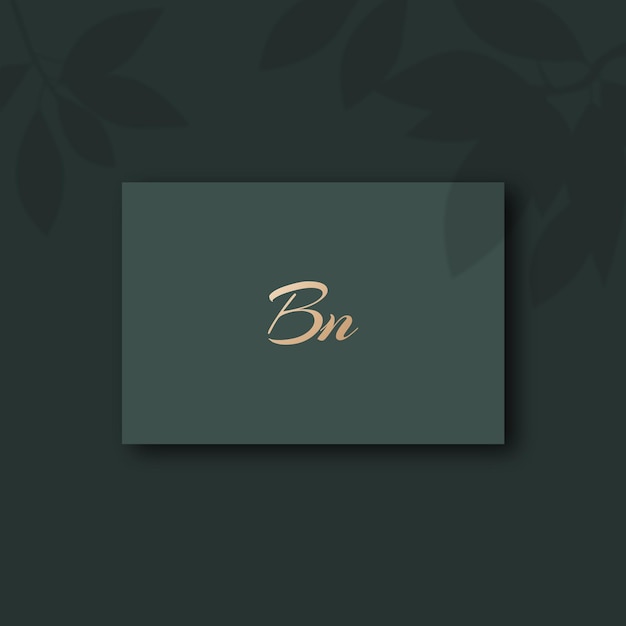 Imagen vectorial del diseño del logotipo de Bn