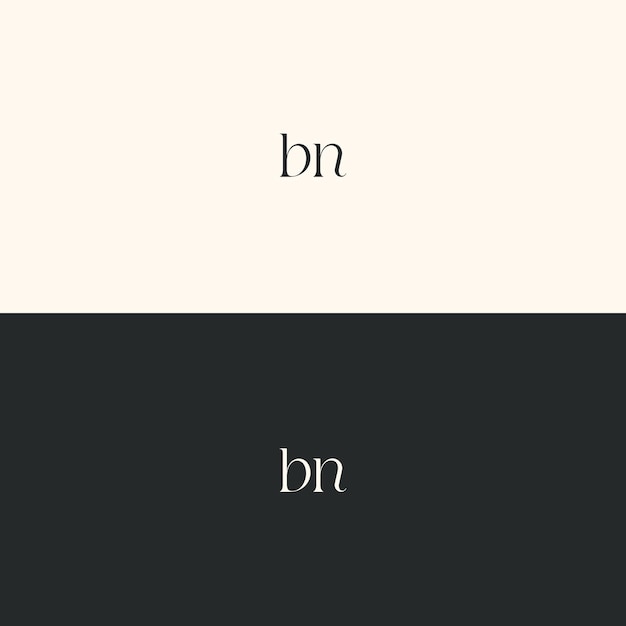Imagen vectorial del diseño del logotipo de Bn