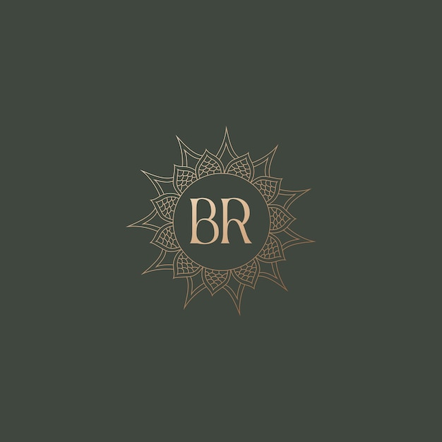 Imagen vectorial de diseño de logotipo Br