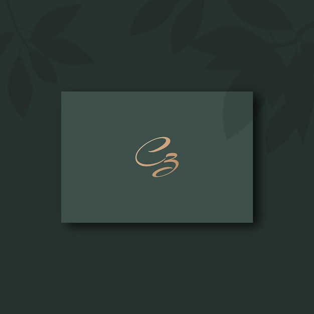 Imagen vectorial del diseño del logotipo Cz