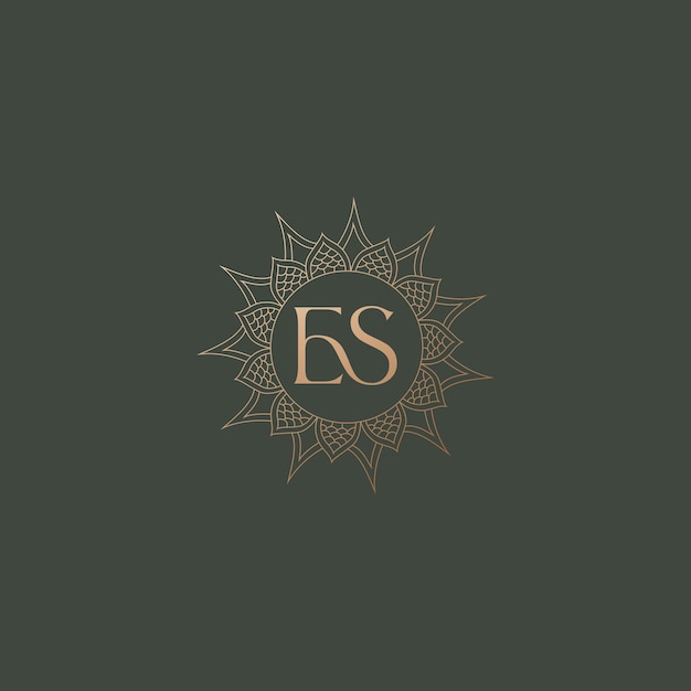 Imagen vectorial del diseño del logotipo Es