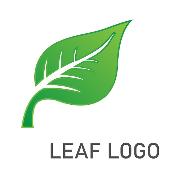 Imagen vectorial del diseño del logotipo de la hoja descargar hoy