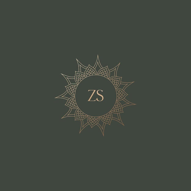 Imagen vectorial del diseño del logotipo de Zs