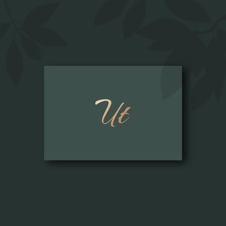 Vector imagen vectorial del diseño del logotipo