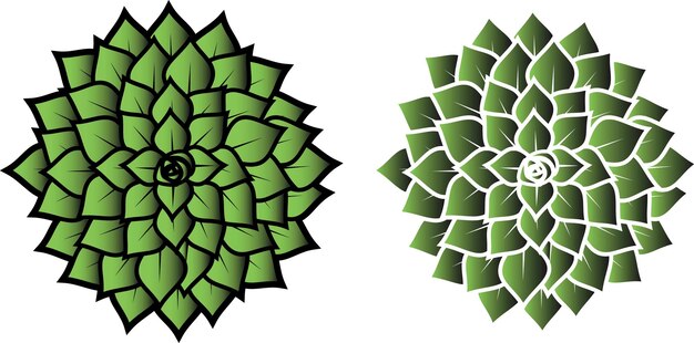 Imagen vectorial de flor verde aislada sobre fondo transparente