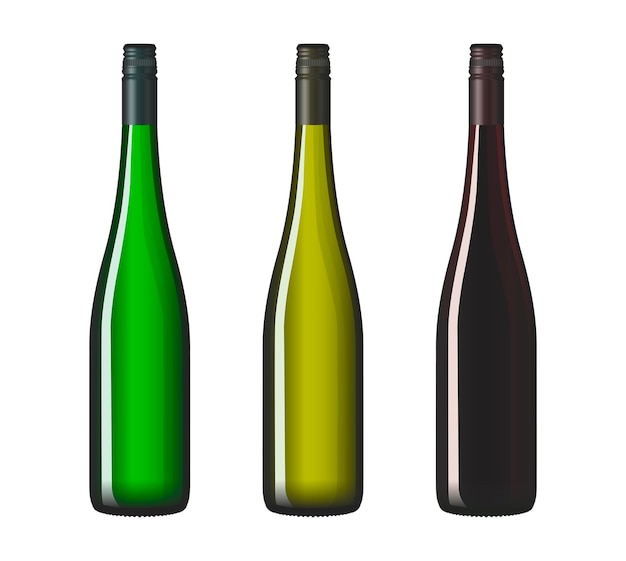 Imagen vectorial de forma clásica de las botellas de vino