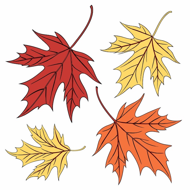 Imagen vectorial de hojas de otoño