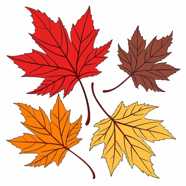 Imagen vectorial de hojas de otoño