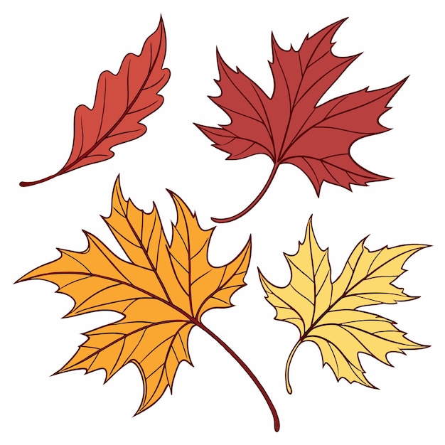 Imagen vectorial de hojas de otoño