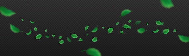 Imagen vectorial de hojas verdes voladoras en un fondo transparente