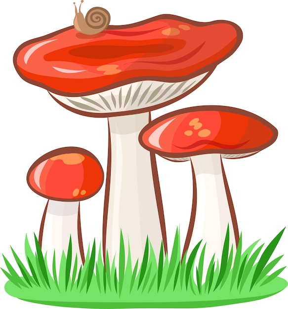 Imagen vectorial de hongo Russula sin fondo
