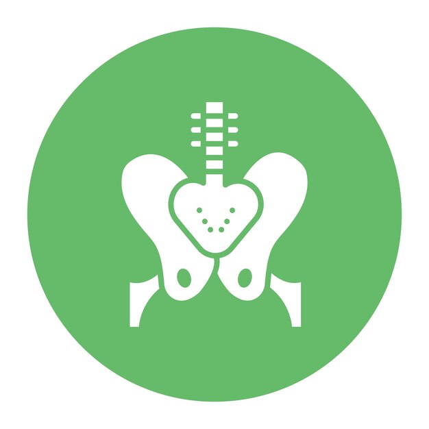 Imagen vectorial del icono de la pelvis Se puede utilizar para la anatomía humana