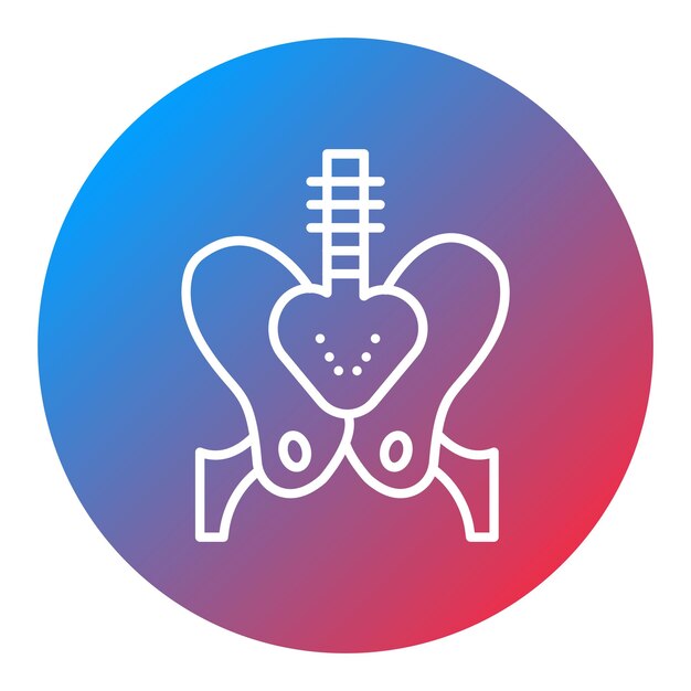 Imagen vectorial del icono de la pelvis Se puede utilizar para la anatomía humana