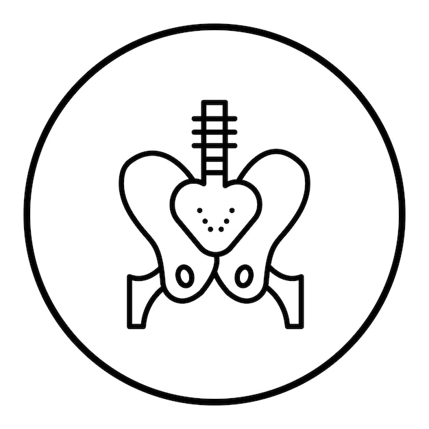 Imagen vectorial del icono de la pelvis Se puede utilizar para la anatomía humana