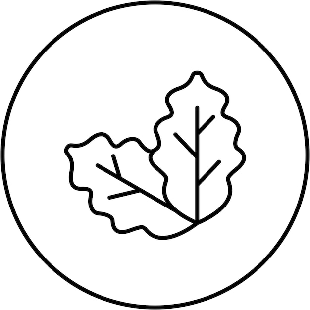Imagen vectorial de icono de repollo Se puede usar para jardinería