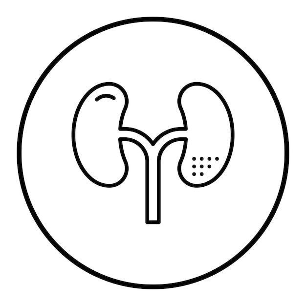 La imagen vectorial del icono de los riñones se puede utilizar para la anatomía humana