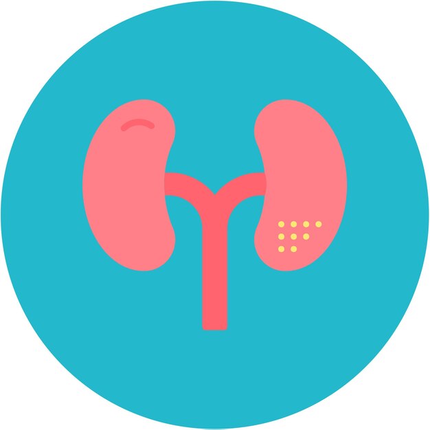 La imagen vectorial del icono de los riñones se puede utilizar para la anatomía humana