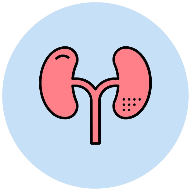 La imagen vectorial del icono de los riñones se puede utilizar para la anatomía humana