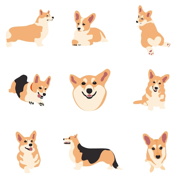 imagen vectorial La ilustración muestra diferentes perros de diferentes razas dibujados a mano.