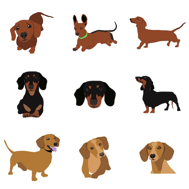 Vector imagen vectorial la ilustración muestra diferentes perros de diferentes razas dibujados a mano.